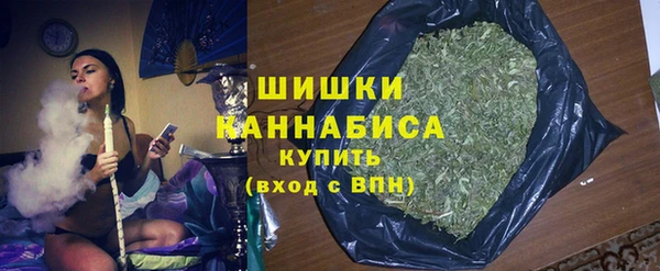 стаф Протвино